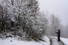 2025-03-17-Austria.39