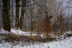 2025-03-17-Austria.44