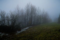 2025-03-17-Austria.48