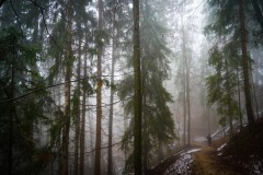 2025-03-17-Austria.49