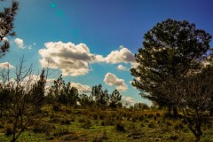 BenShmen032025_1