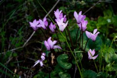 BenShmen032025_10