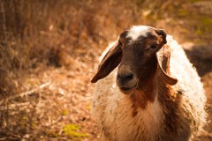 BenShmen032025_11