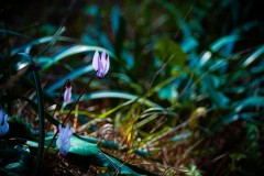 BenShmen032025_12