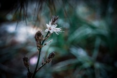 BenShmen032025_13