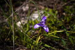 BenShmen032025_15