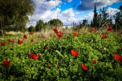 BenShmen032025_2