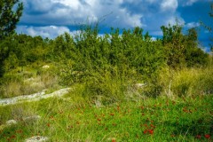 BenShmen032025_4