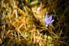 BenShmen032025_8